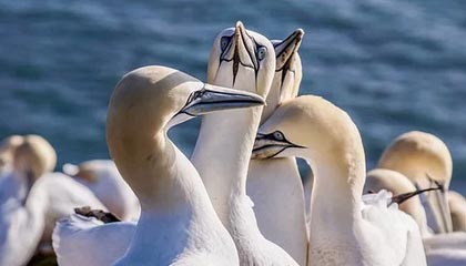 伊犁哈萨克高价上海医保提取2025的最新政策(2025年伊犁哈萨克上海医保怎么提取现金分享)