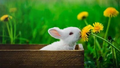 伊犁哈萨克高价上海医保提取2025的最新政策(2025年伊犁哈萨克上海医保怎么提取现金分享)